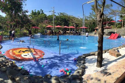 超大毛孩專屬泳池的森呼吸寵物休閒廣場