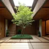 老屋翻新：在城市喧囂中，打造我們的親子樹屋樂園！